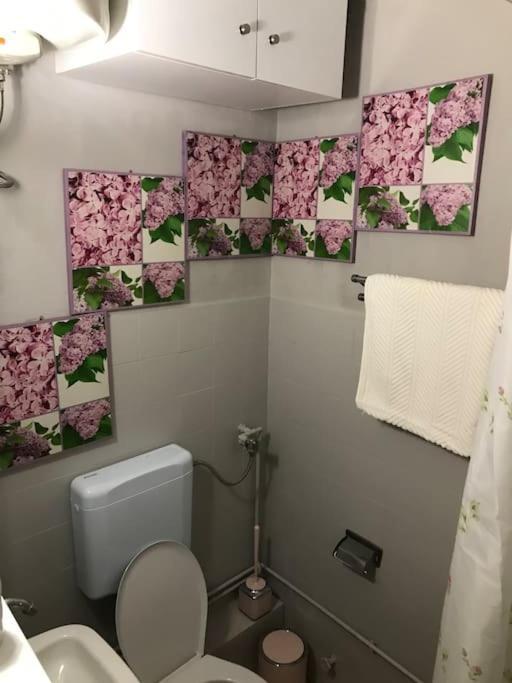 Cosy Apartment In City Centre อิโออันนินา ภายนอก รูปภาพ